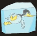images/avatars/avatar-16.jpg
